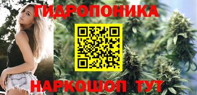амф Лесосибирск