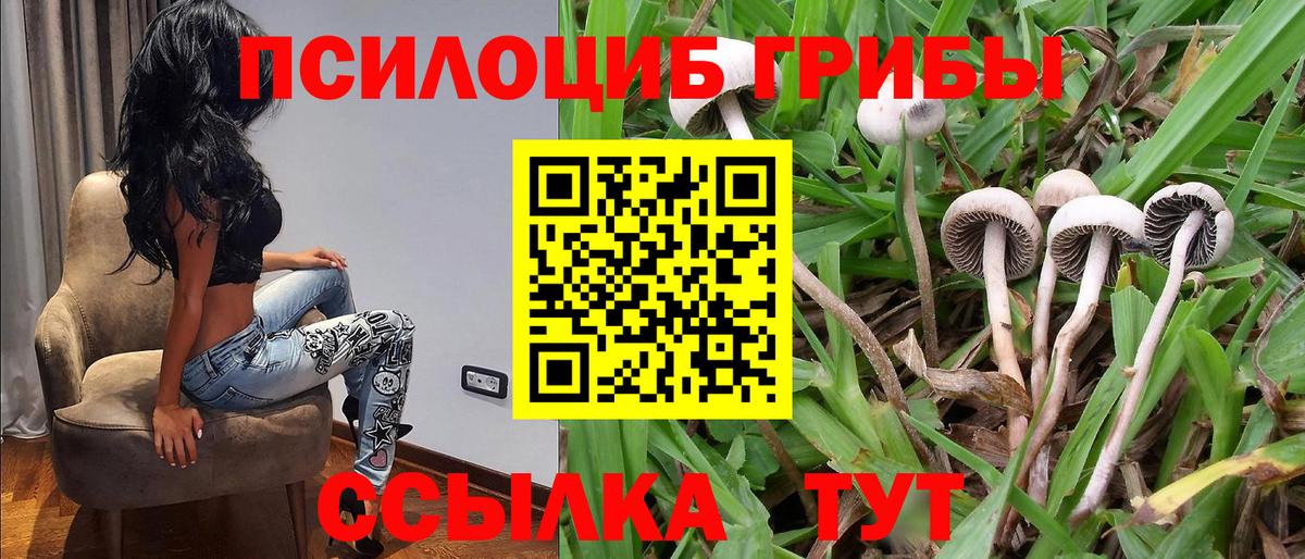 Псилоцибиновые грибы Magic Shrooms Волжск