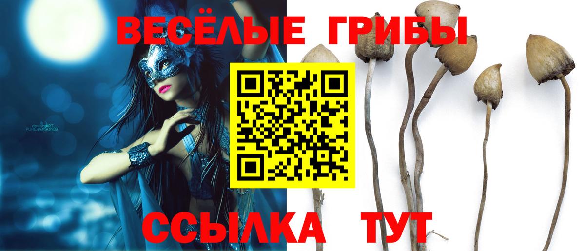 Псилоцибиновые грибы Magic Shrooms  Вход с VPN  Волжск 